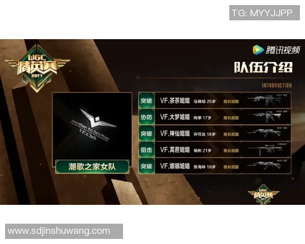 V5战队团队协作解析与DOTA2战术配合的深度探讨